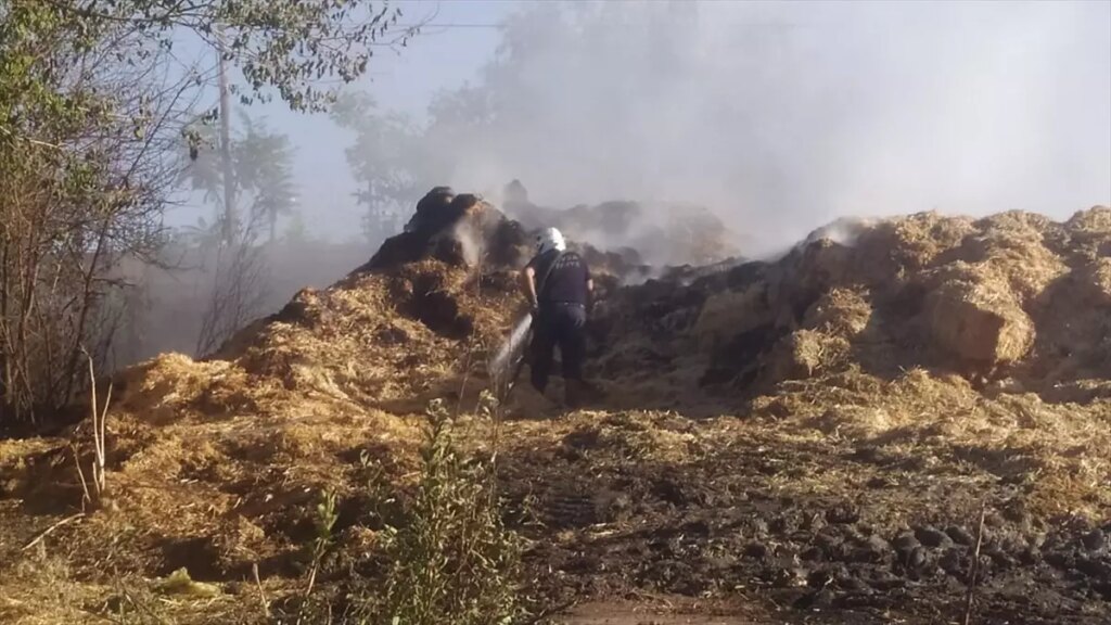 havsada yanginda 500 balya saman zarar gordu LWKe3xRK