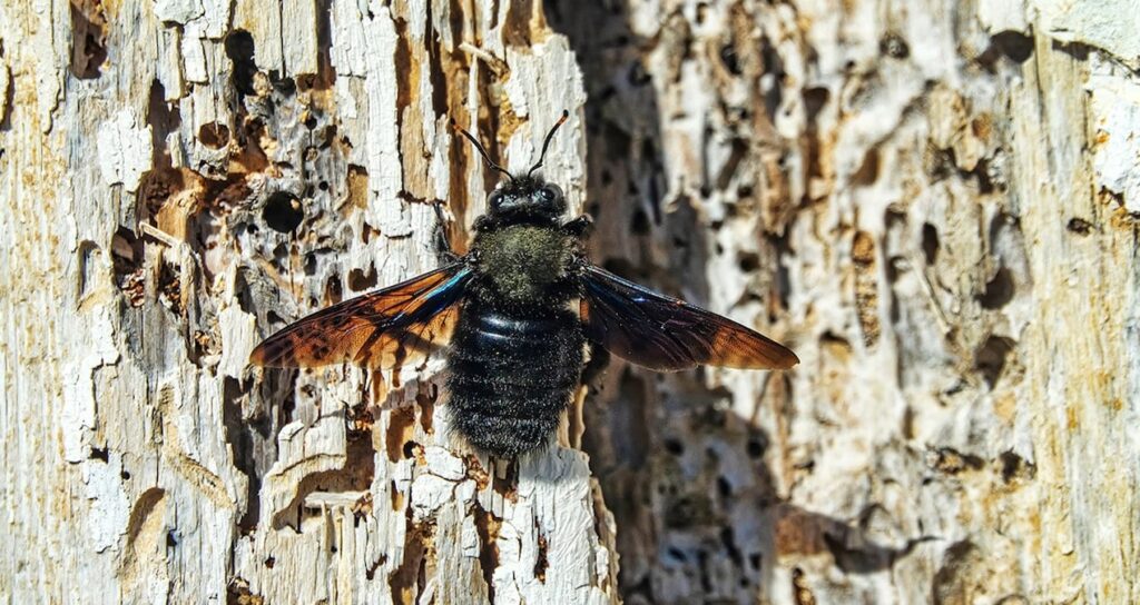 yazin karsiniza cikarsa sakin oldurmeyin cezasi 2 milyon lira HG5UC7Py