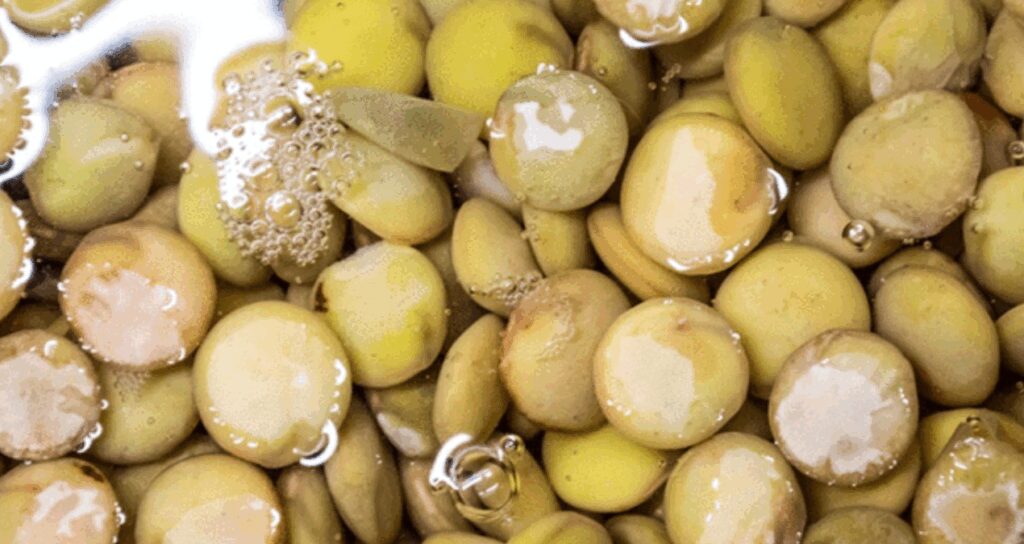 yumurtadan 10 kat fazla protein etten 25 kat fazla demir iceriyor G4cqg9Lv