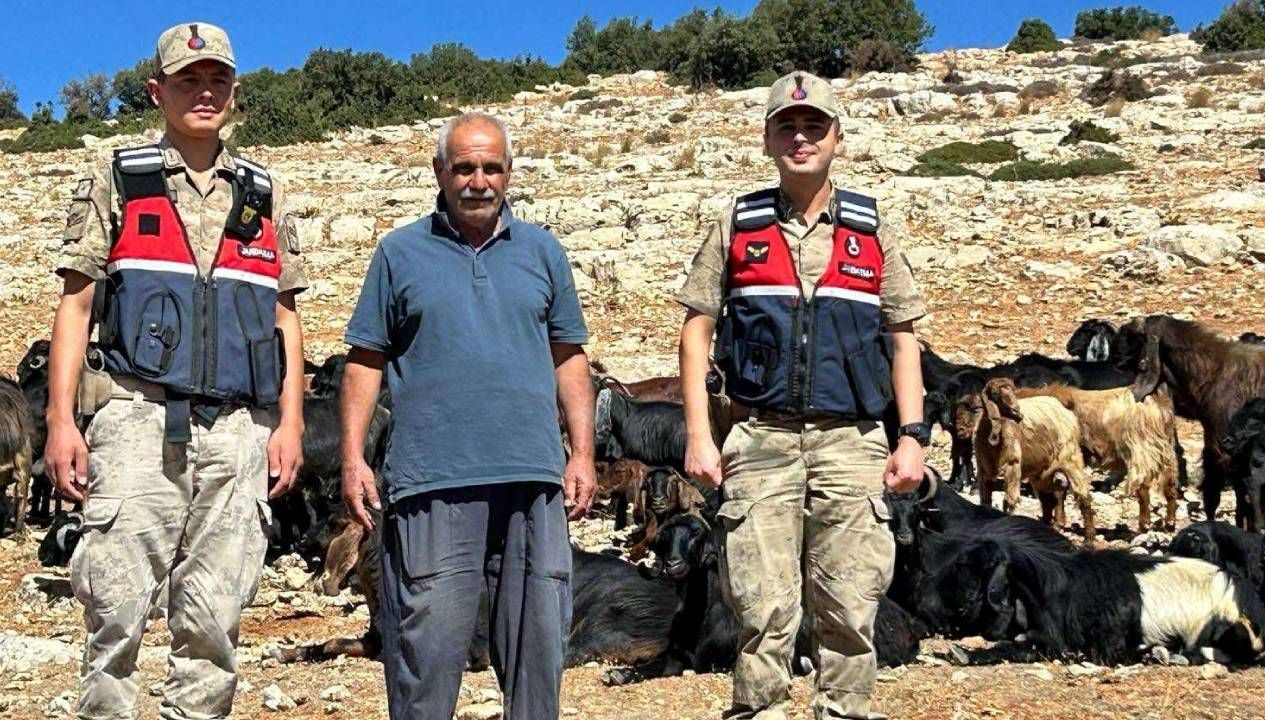 kaybolan kucukbas hayvanlar jandarma tarafindan bulundu wt7eSYUG