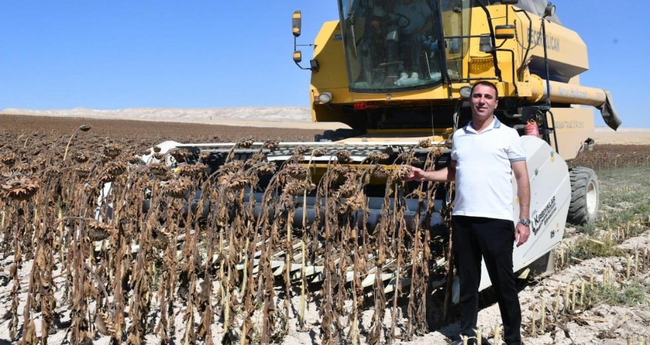 kilo kilo toplaniyor belediyeye gelir kapisi oluyor yilin en verimli hasadi basladi trBTqxXX