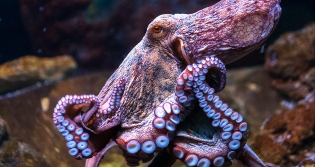 sandigimizdan daha planli calisiyor her kol kendi gorevini biliyor DZVwmtUV