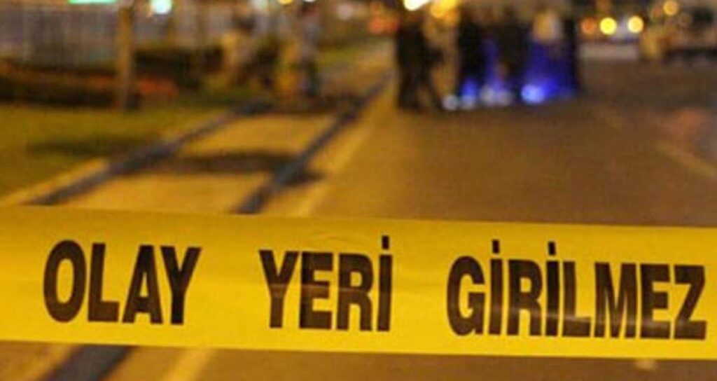 izmir beydagda sahipsiz kopege ates acan suphelinin sacmalari kadin cinayetine neden oldu O8qyuX6Y