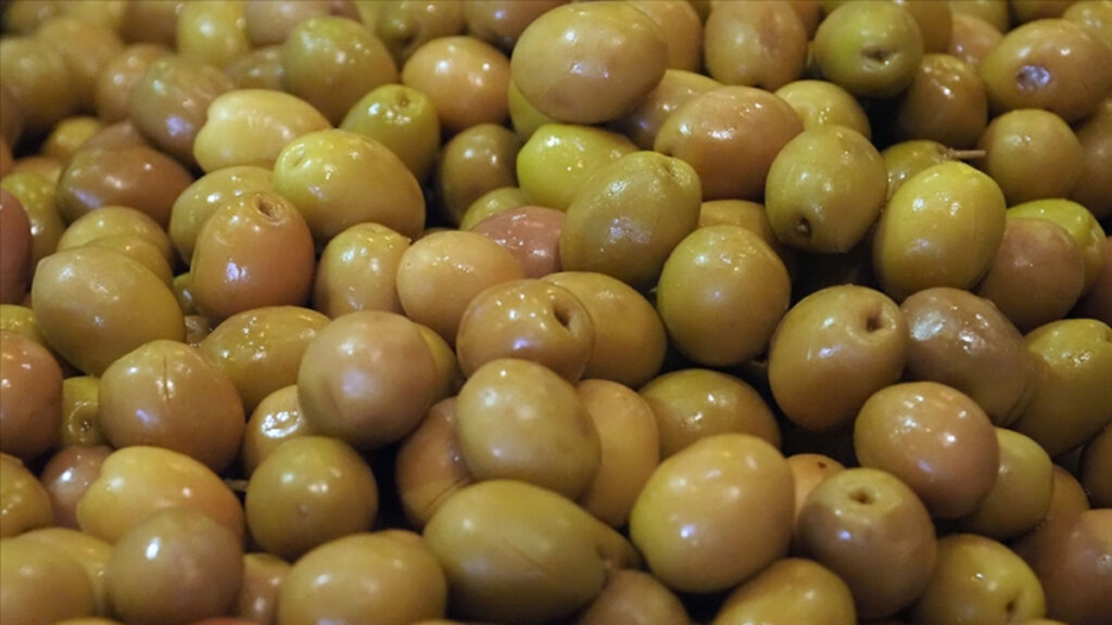 sofralik zeytin ihracatinda tarihi basari 255 milyon dolar mjdDZ84v