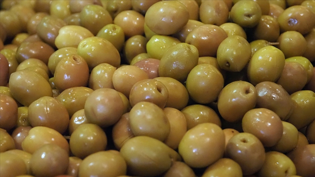 sofralik zeytin ihracatinda tarihi basari 255 milyon dolar mjdDZ84v