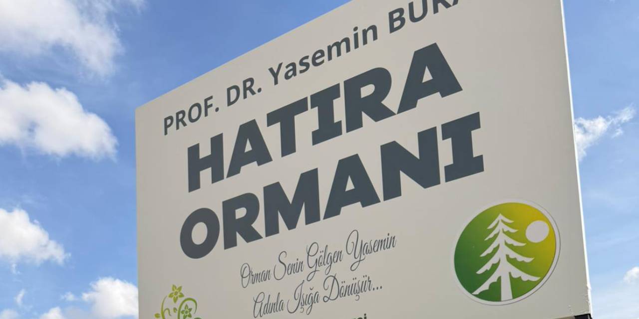 trafik kazasinda olen profesor icin hatira ormani c3auMW9r.jpg