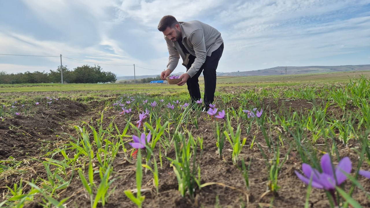 bir cicekten 3 tel cikiyor kilosu 600 bin lira cJ6LJqxW.jpg