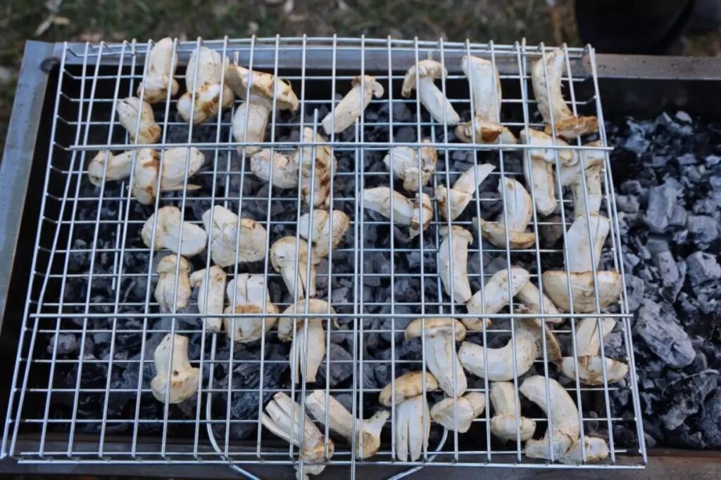 kilosu etle yarisiyor japonlarin gozdesi beyaz altinda hasat basladi 6zdGOeHU.jpg