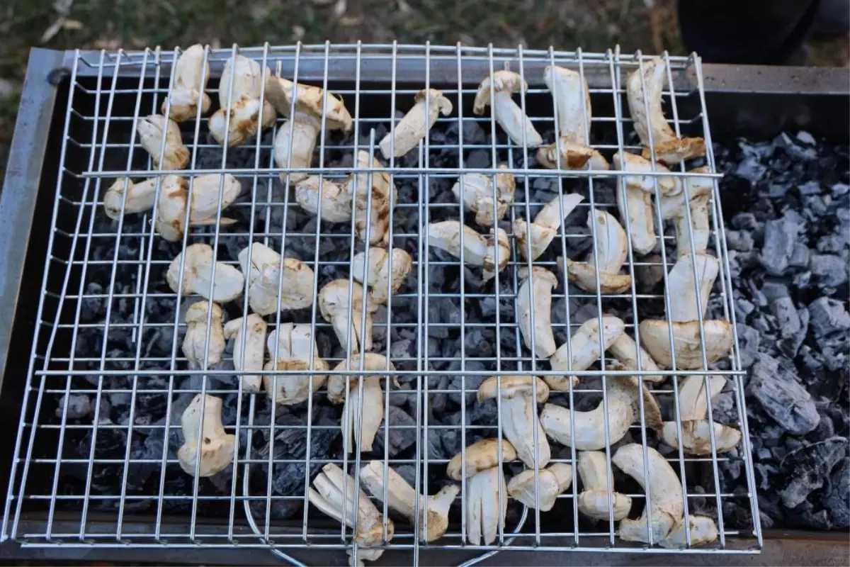 kilosu etle yarisiyor japonlarin gozdesi beyaz altinda hasat basladi 6zdGOeHU.jpg