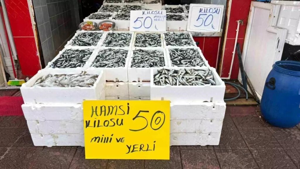 rizede hamsi fiyati 50 tl WuDZpxEV.jpg