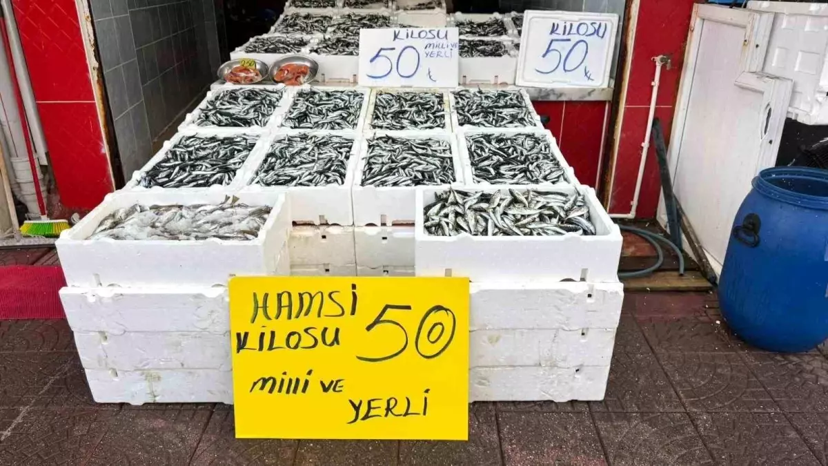 rizede hamsi fiyati 50 tl WuDZpxEV.jpg