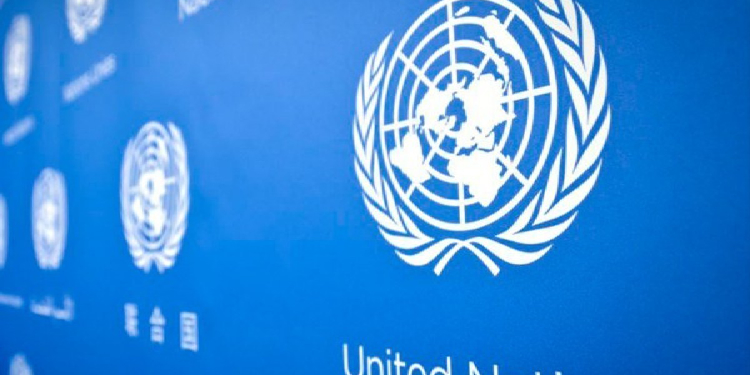 2024’te 50 bin kadın ve kız çocuğu öldürüldü: Küresel acil durum – Politika Haber